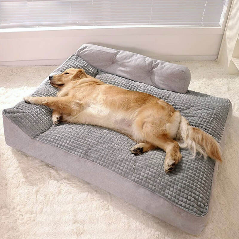 Lit-oreiller épais et lavable pour animaux