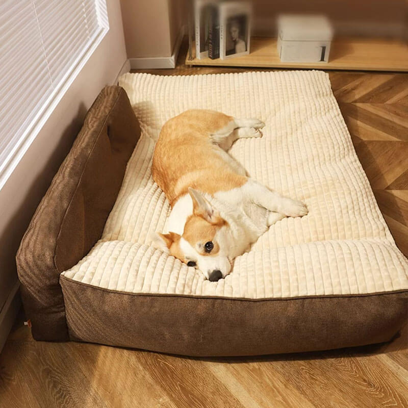 Lit-oreiller épais et lavable pour animaux