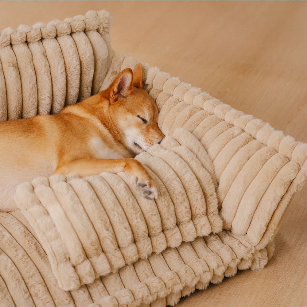 Lit canapé pour chien