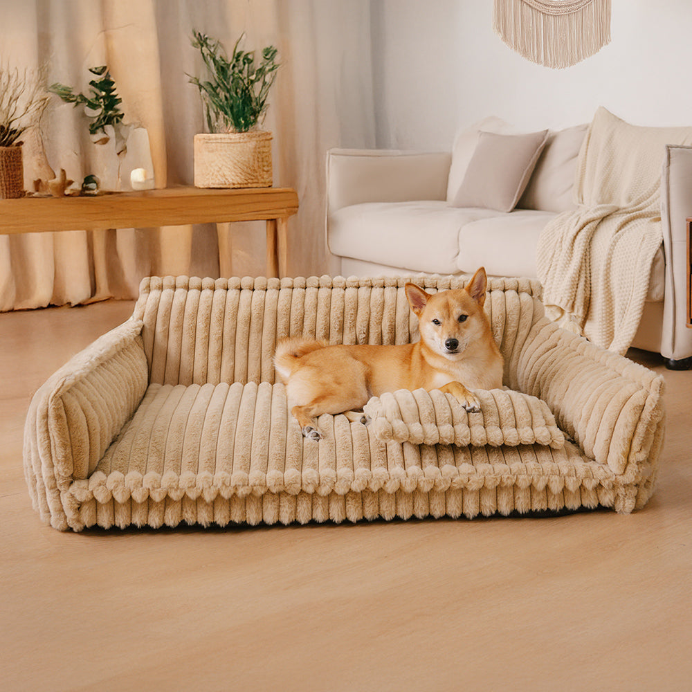Lit canapé pour chien