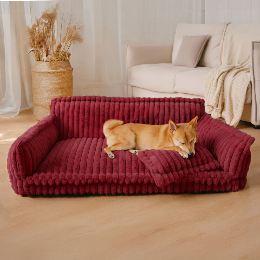Lit canapé pour chien