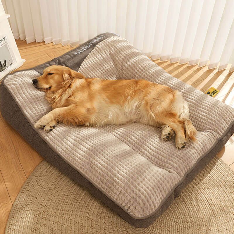 Grand lit épais et anti-rayures pour chien