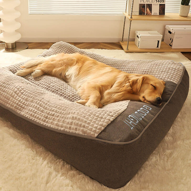 Grand lit épais et anti-rayures pour chien