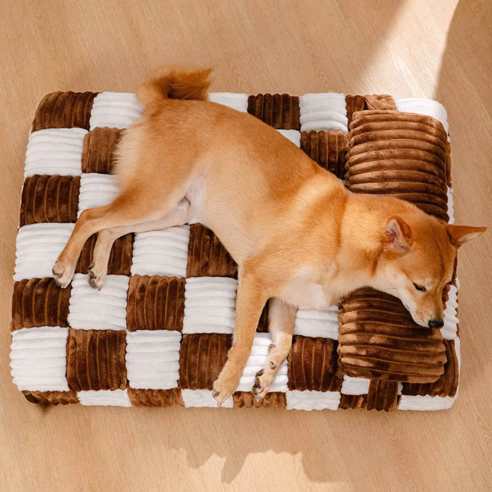 Canapé pour chien en forme d'échiquier