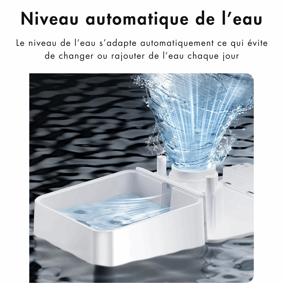 Distributeur automatique croquettes connecté