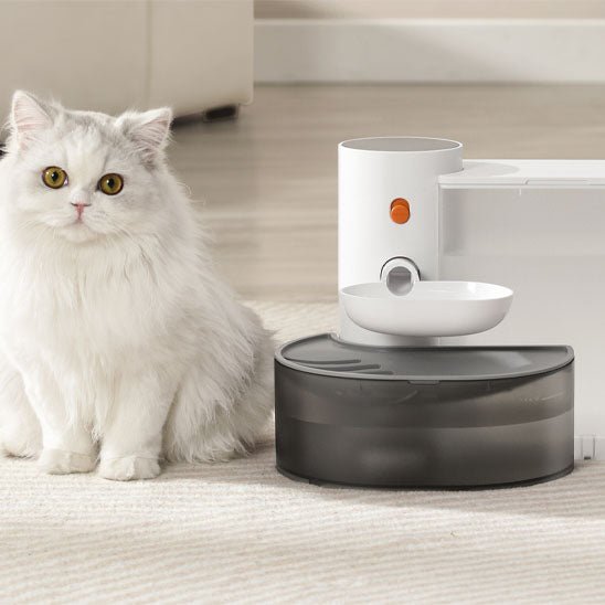Fontaine automatique pour chat avec distributeur d'eau