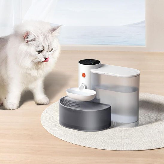 Fontaine automatique pour chat avec distributeur d'eau