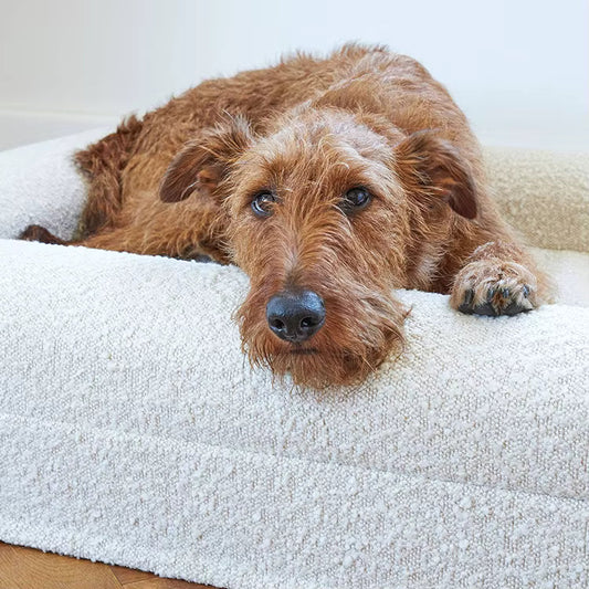 Panier pour chien senior : comment choisir le lit idéal ?