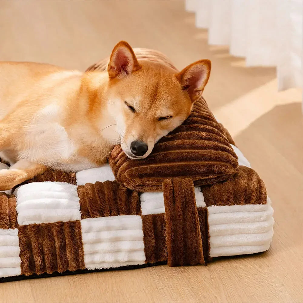 Comment choisir un panier orthopédique pour chien ?