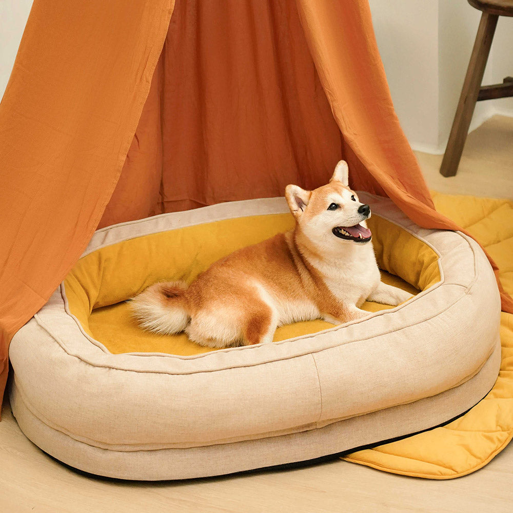 panier chien velours doux