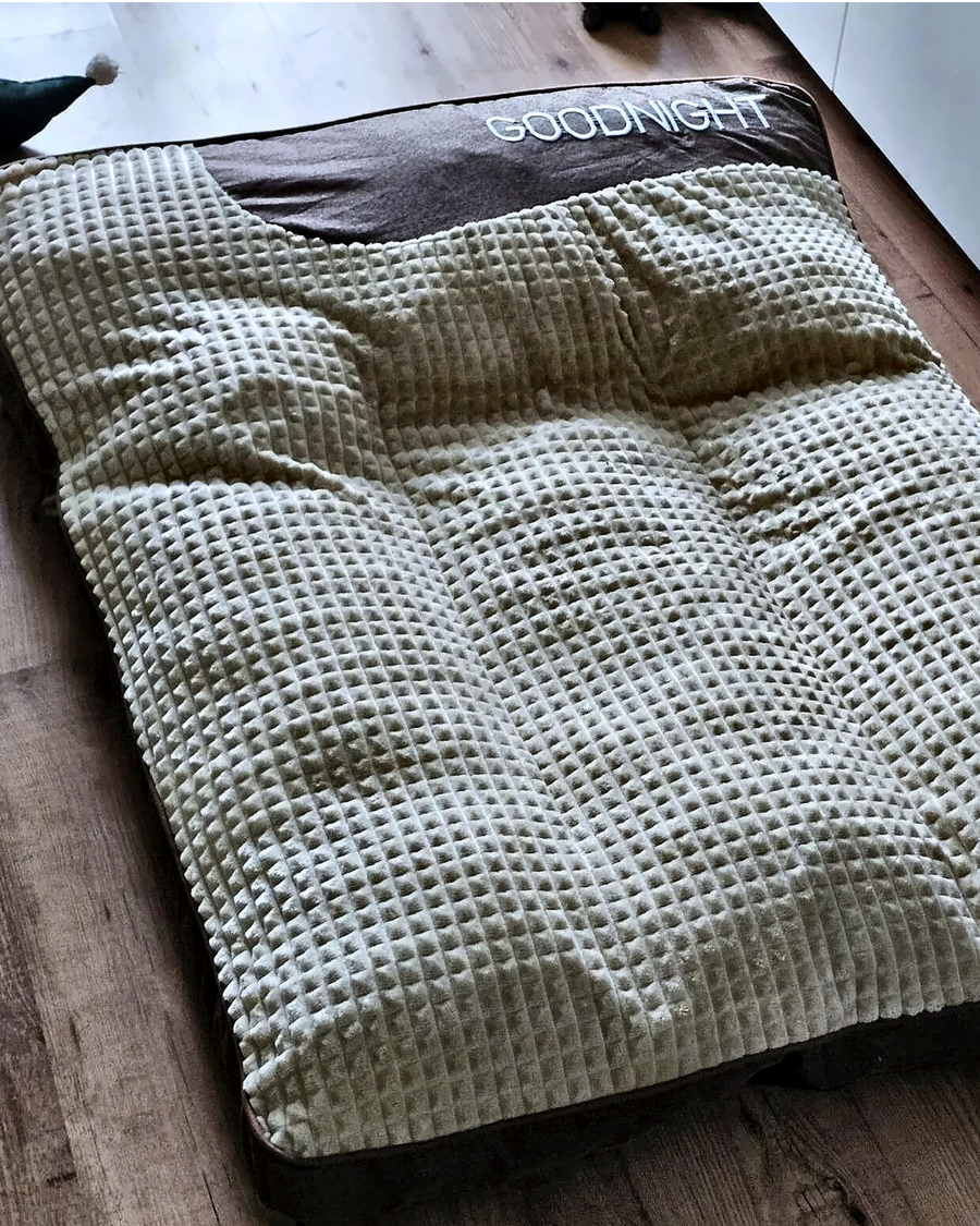 Chien d’un client installé sur son coussin GOODNIGHT