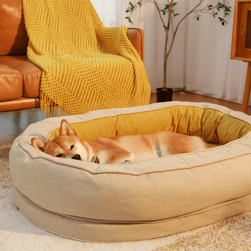 panier orthopédique chien