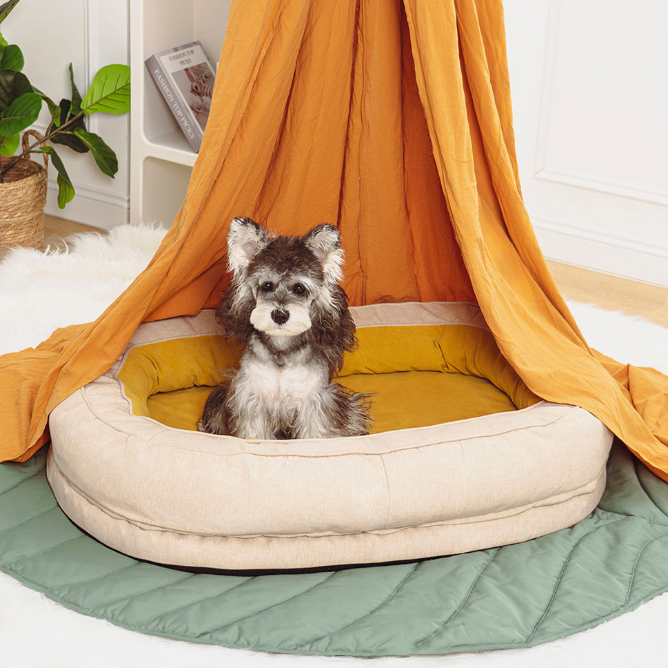 couchage chien confortable