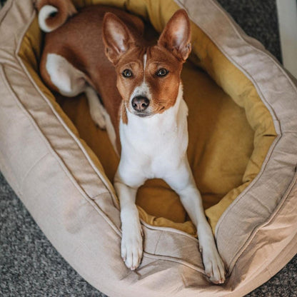 Lit orthopédique pour chien - Le Panier Cocoon