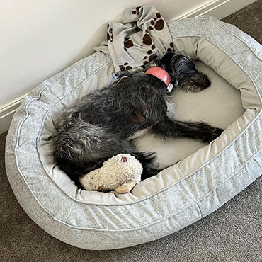 Lit orthopédique pour chien - Le Panier Cocoon