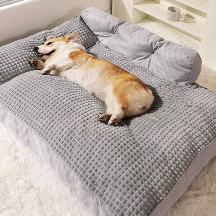 Lit-oreiller épais et lavable pour animaux