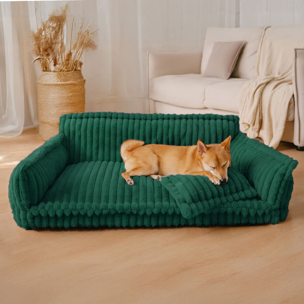 canapé pour chien confortable