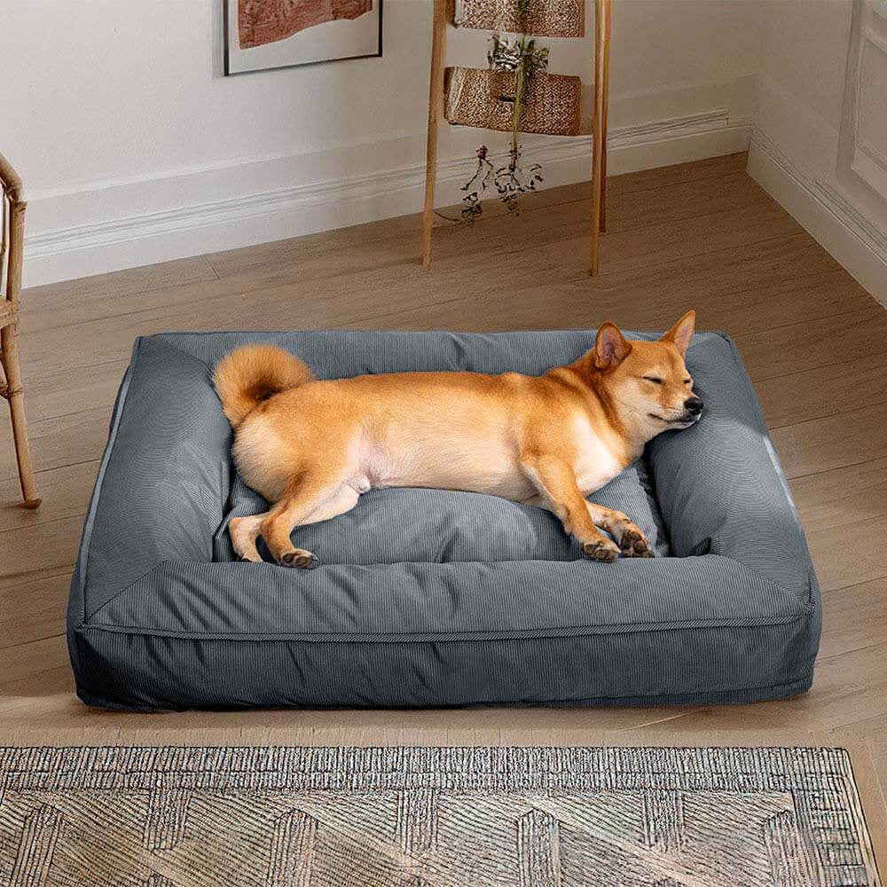 lit orthopédique chien