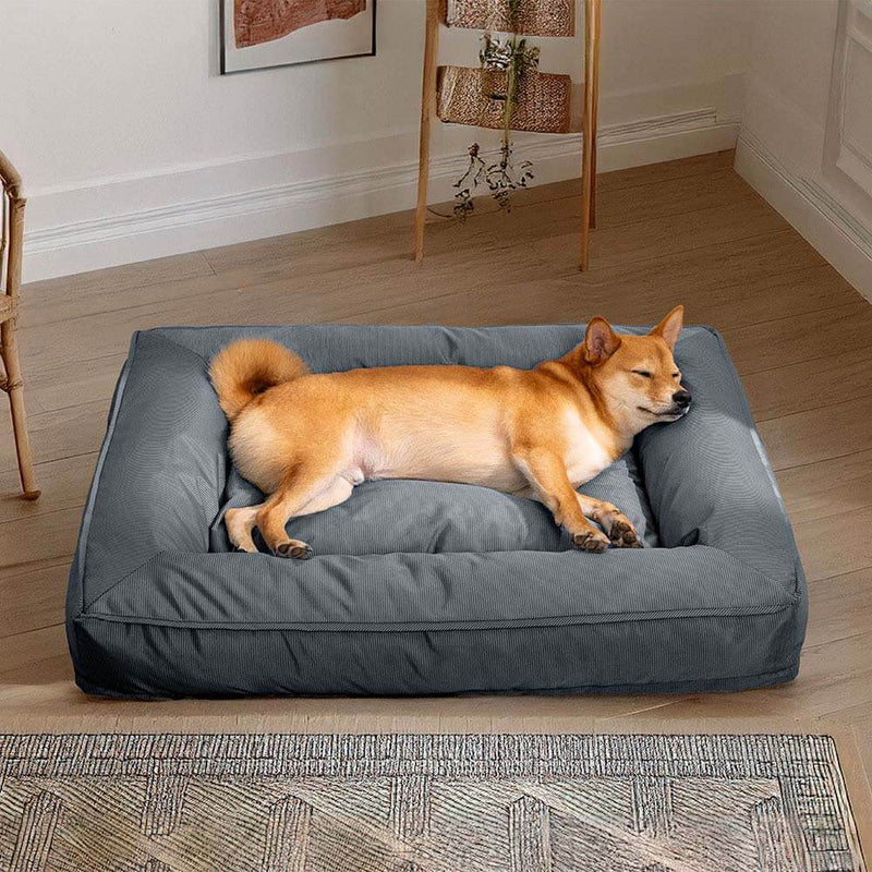 lit orthopédique chien