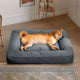 lit chien grand gabarit