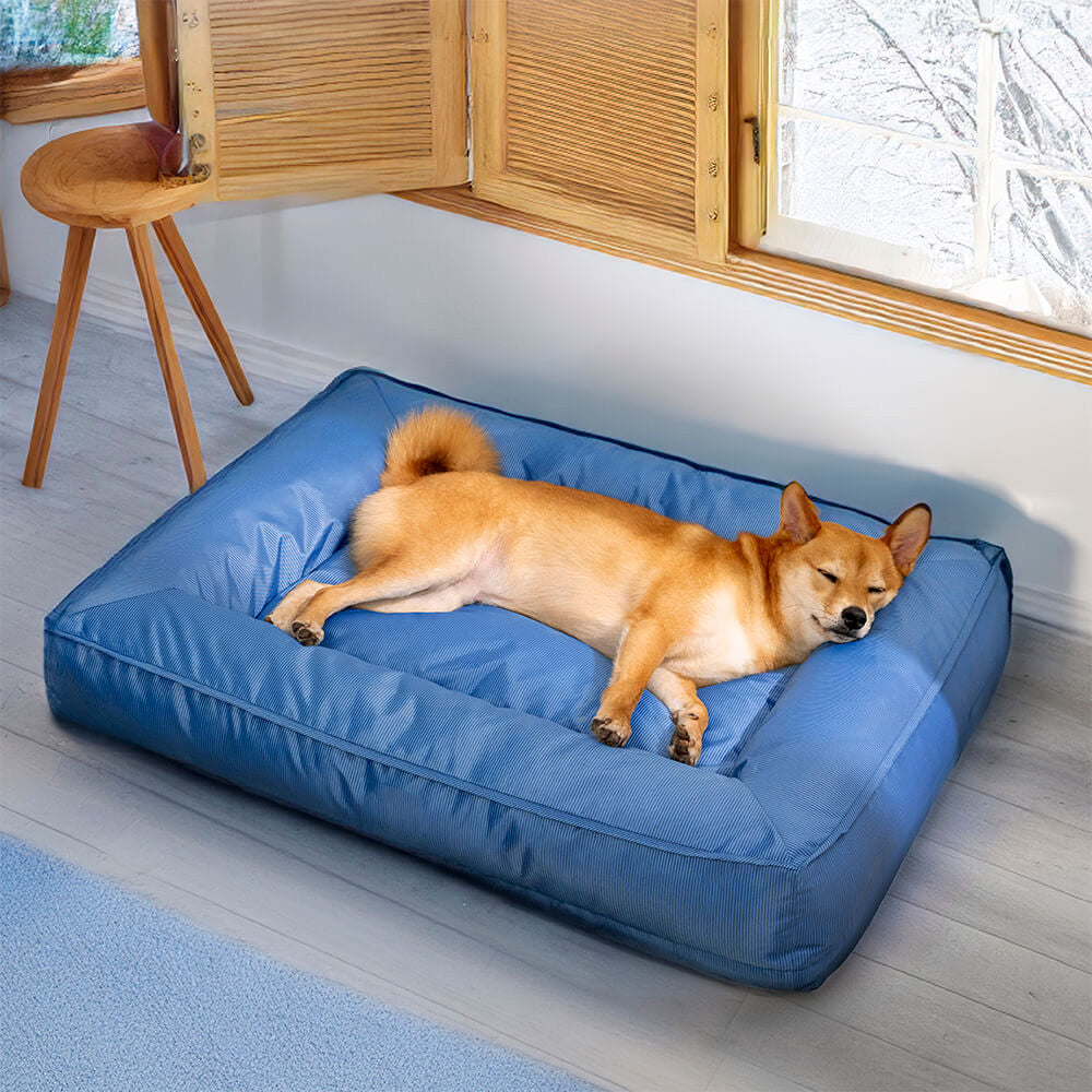 couchage chien orthopédique