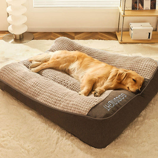 Grand lit épais et anti-rayures pour chien