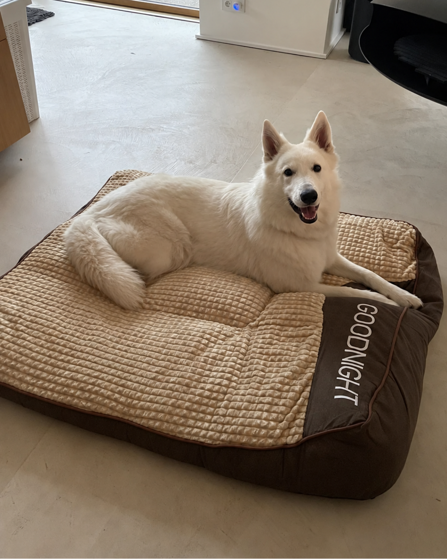 Chien détendu dans son couchage GOODNIGHT
