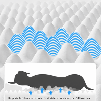 panier chien impermeable orthopedique