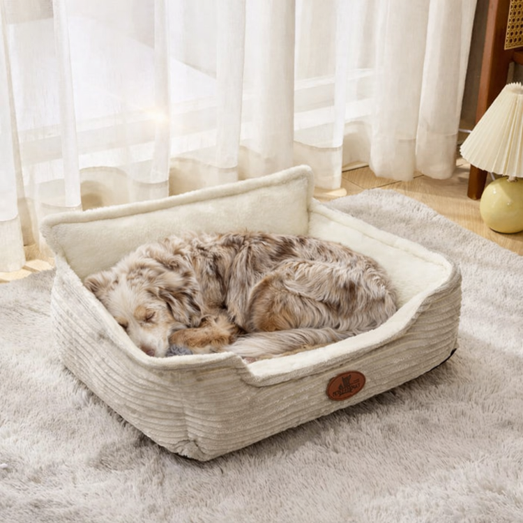 chien lit moelleux velour