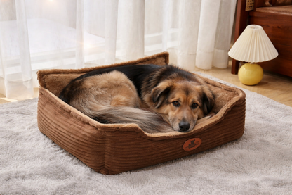 panier chien confort