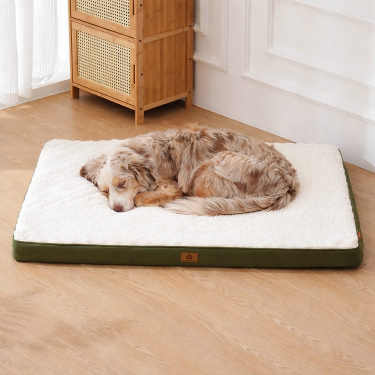 Matelas pour chien confortable
