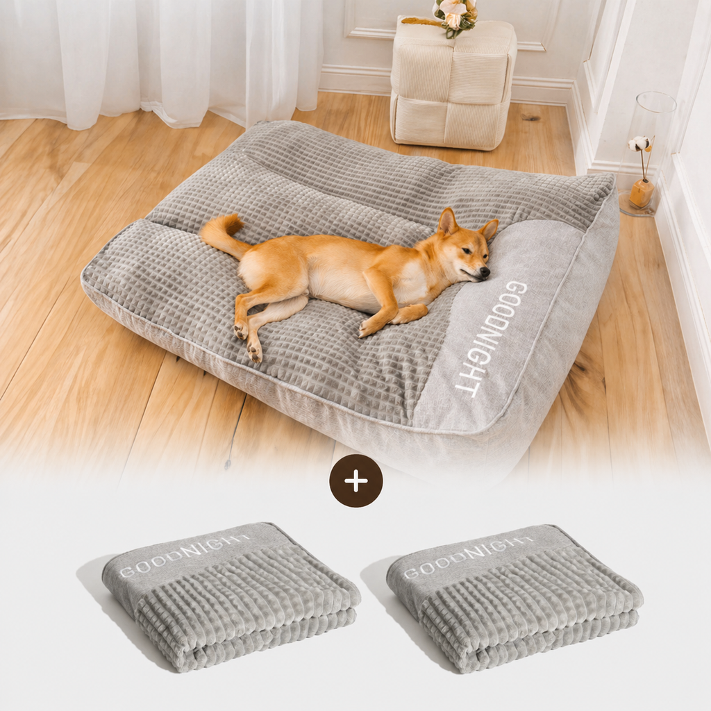 Grand coussin orthopédique  extra moelleux "Goodnight"