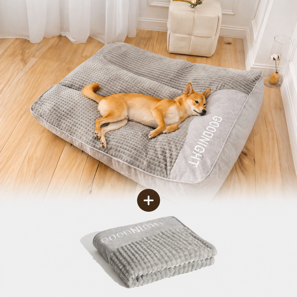 Grand coussin orthopédique  extra moelleux "Goodnight"
