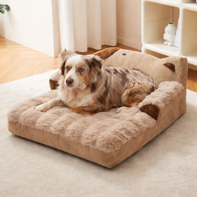 <p>Caractéristiques clés</p>