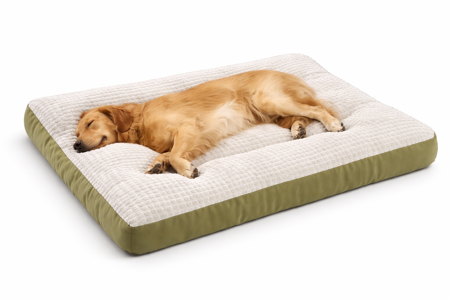 matelas chien xxl