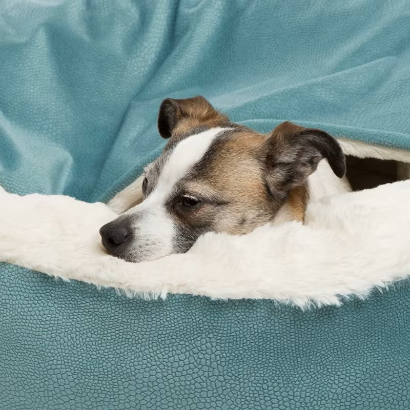 lit chien cocoon