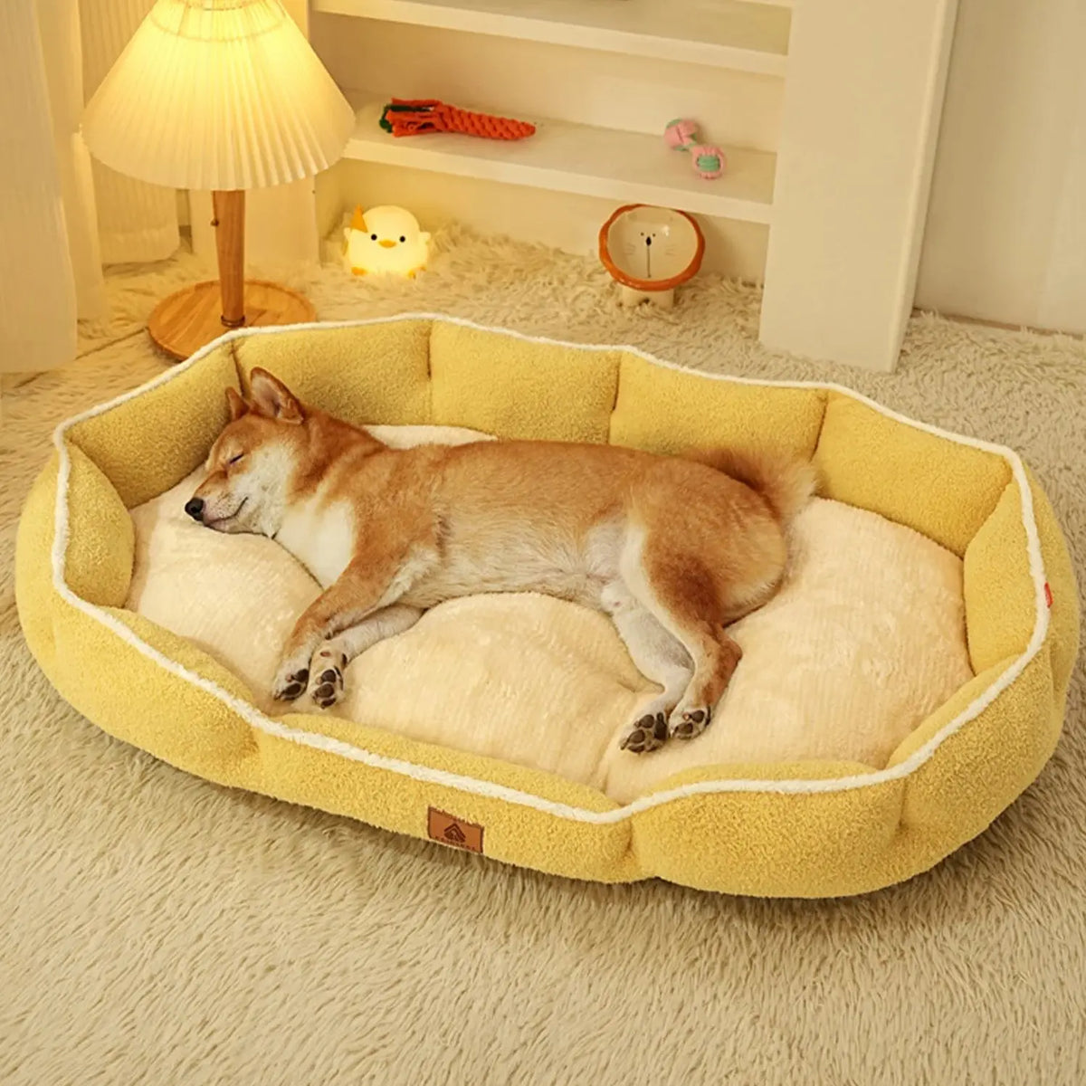 lit pour chien hiver