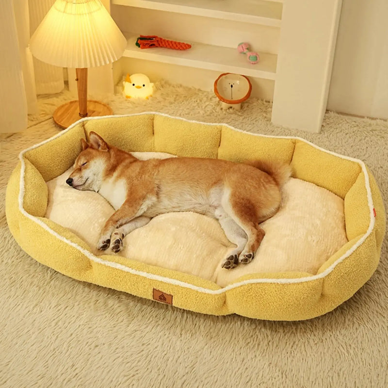 lit pour chien hiver