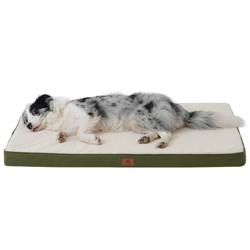 lit pour chien confortable
