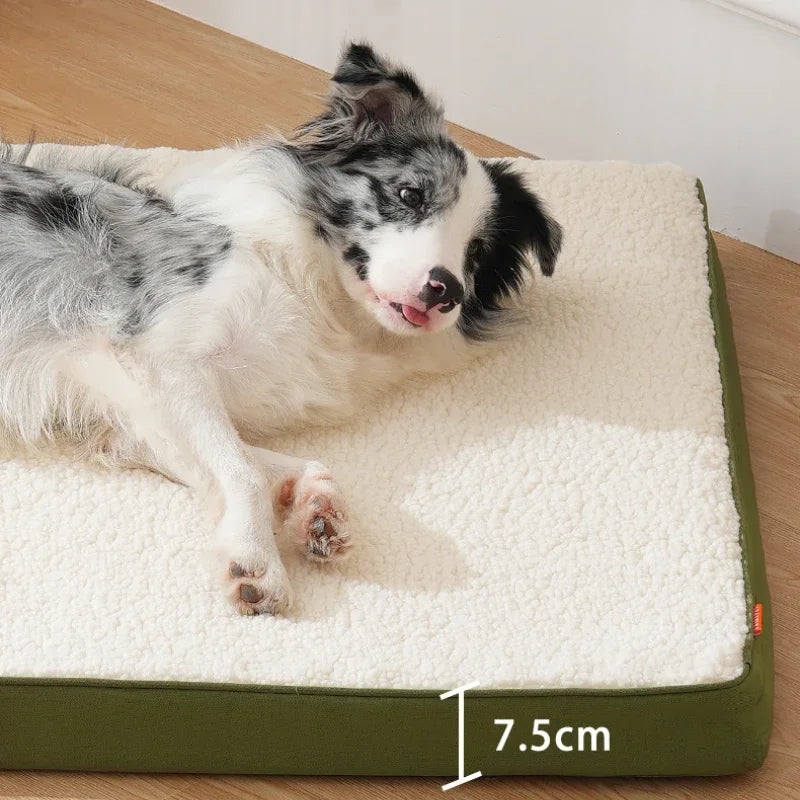 lit pour chien premium