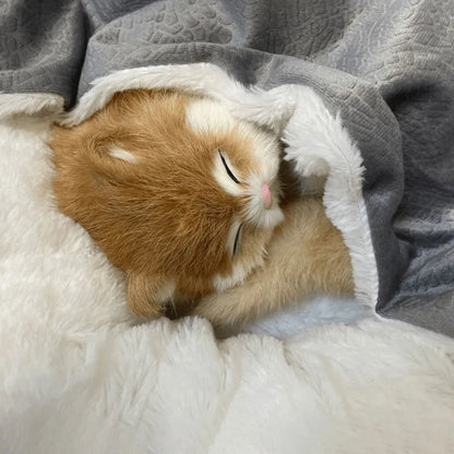 panier chien cocoon doux