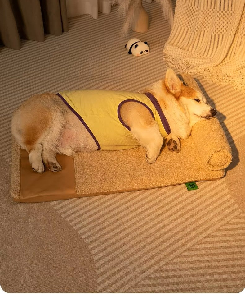lit orthopédique chien