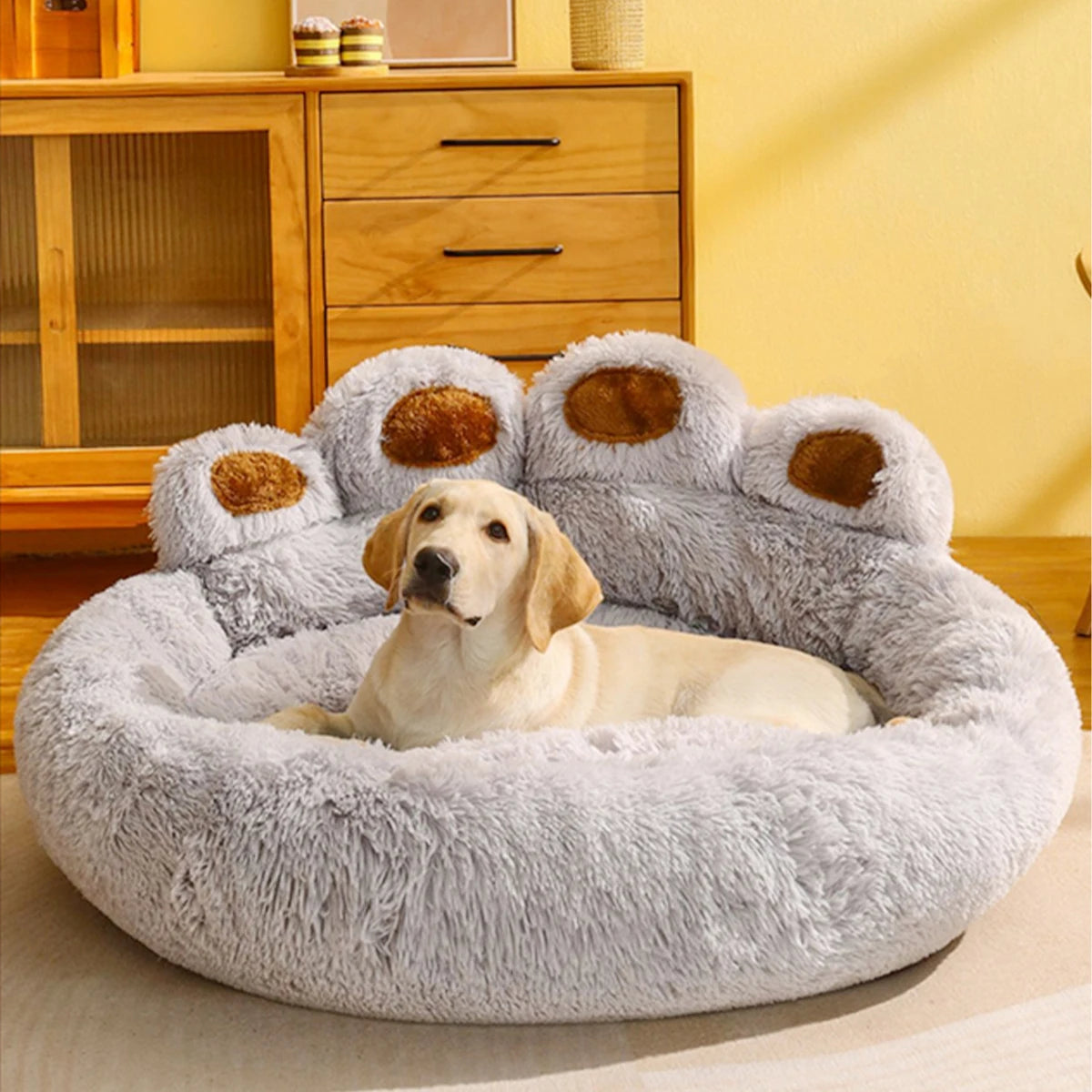 lit chien confortable