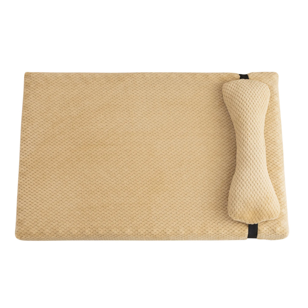 coussin chien polaire