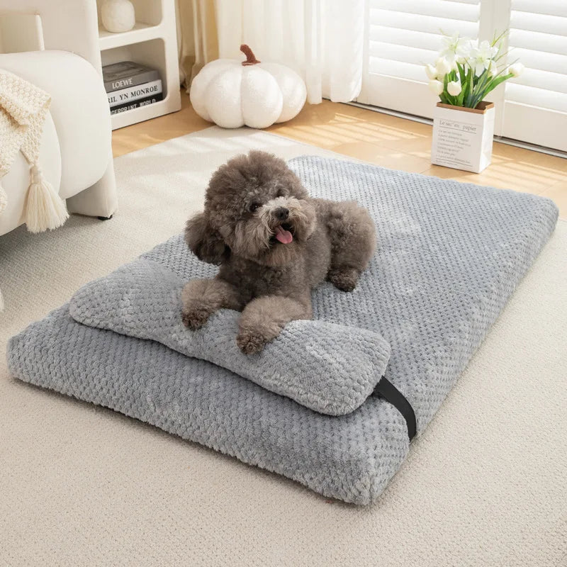 matelas chien