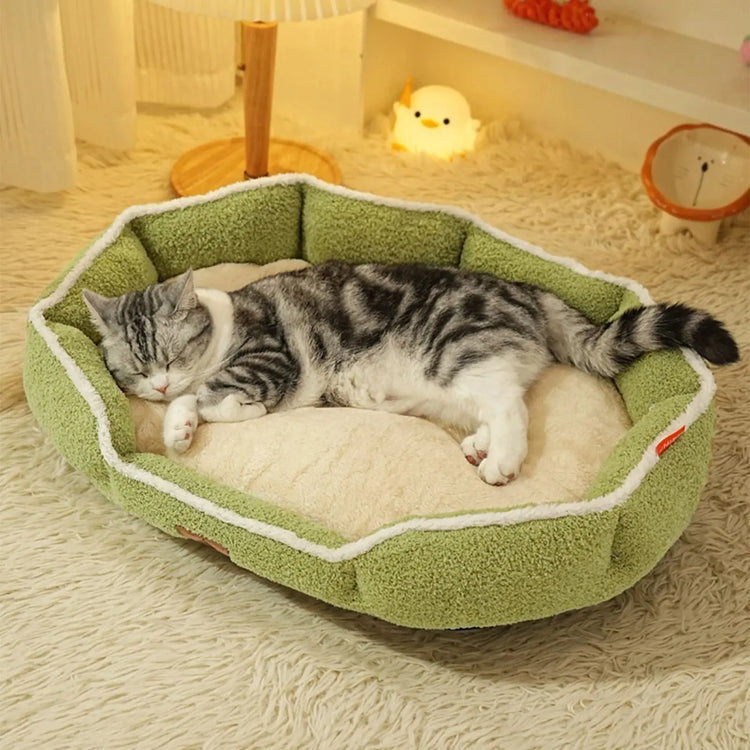 <p>Caractéristiques clés</p>