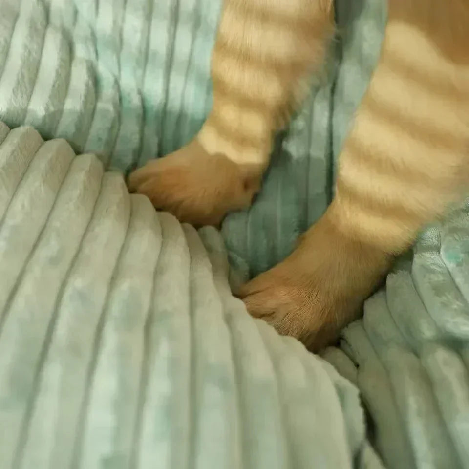 coussin chien xxl