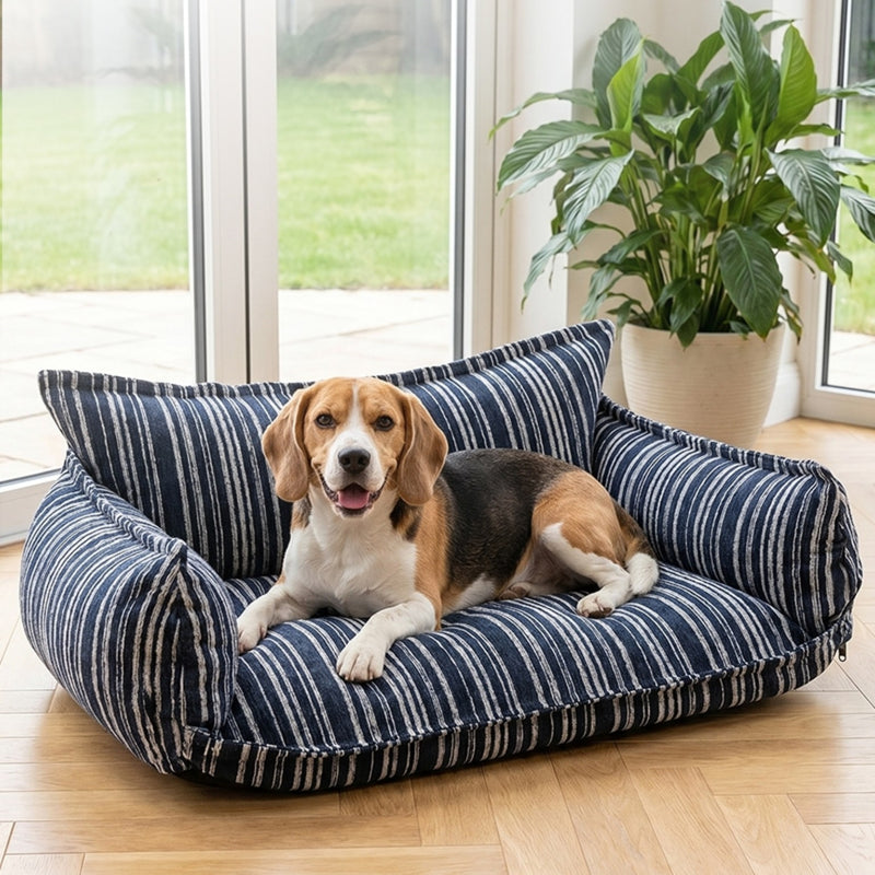 Canapé en chenille bleu avec un beagle dans le salon