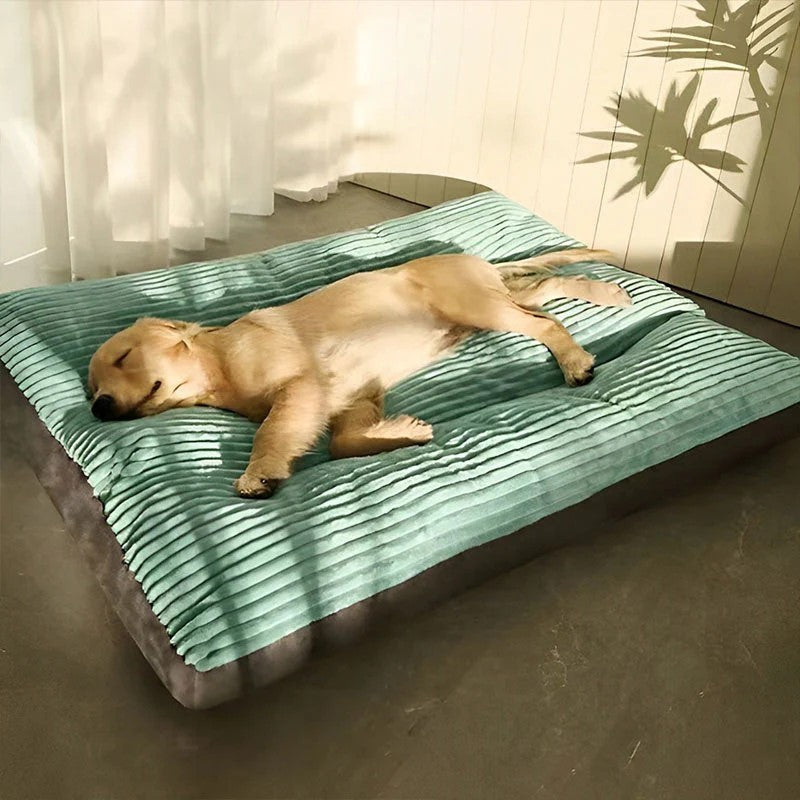 couchage chien velours
