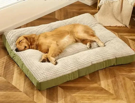 Lit Coussin Chien XXL "Velours XXL"